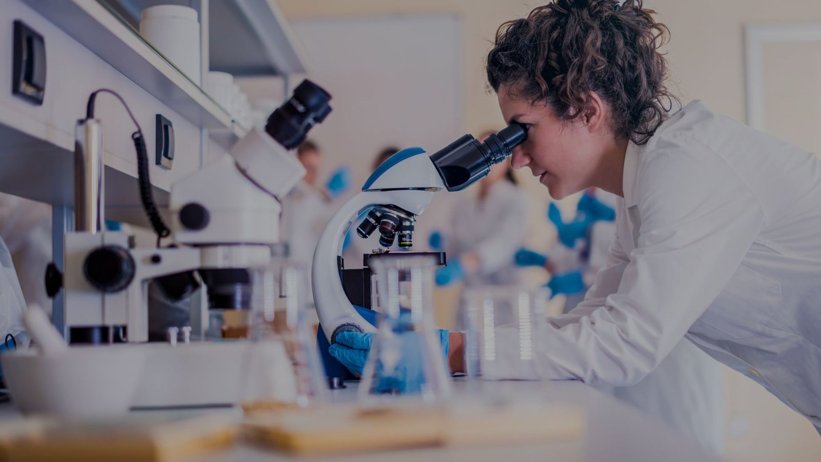 scientific instruments